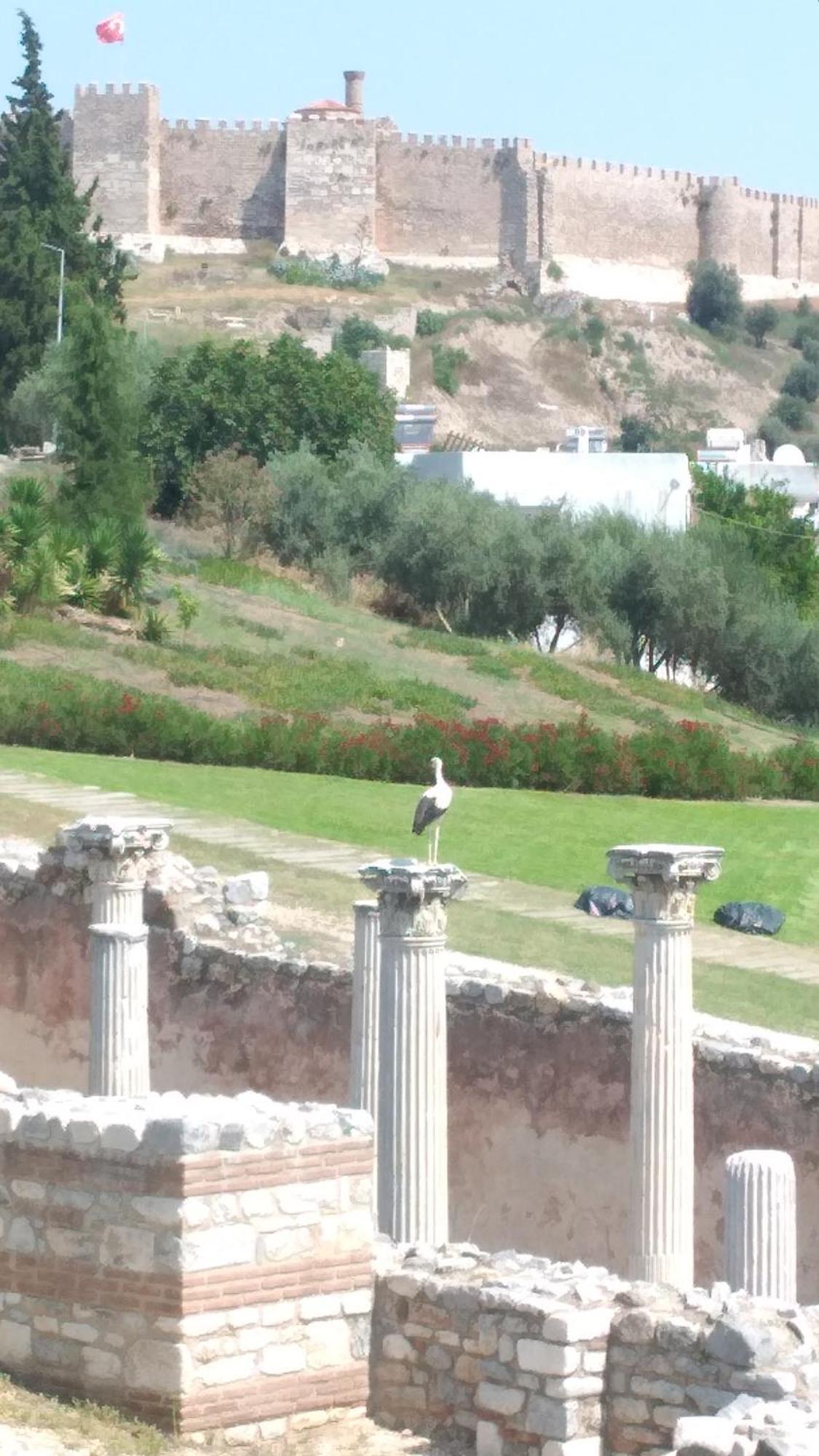 Ephesus Selcuk Castle View Suites Exteriér fotografie