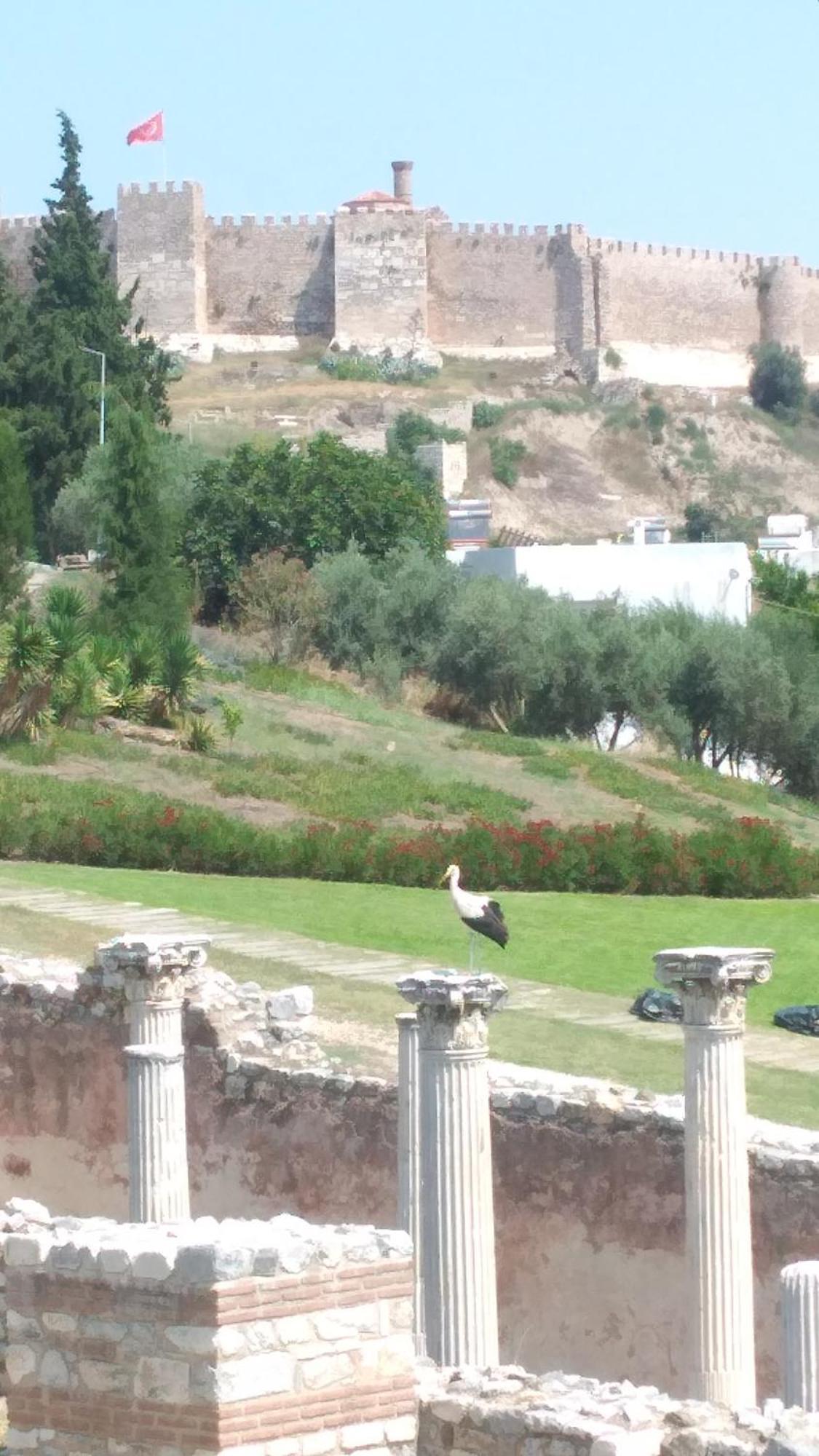 Ephesus Selcuk Castle View Suites Exteriér fotografie